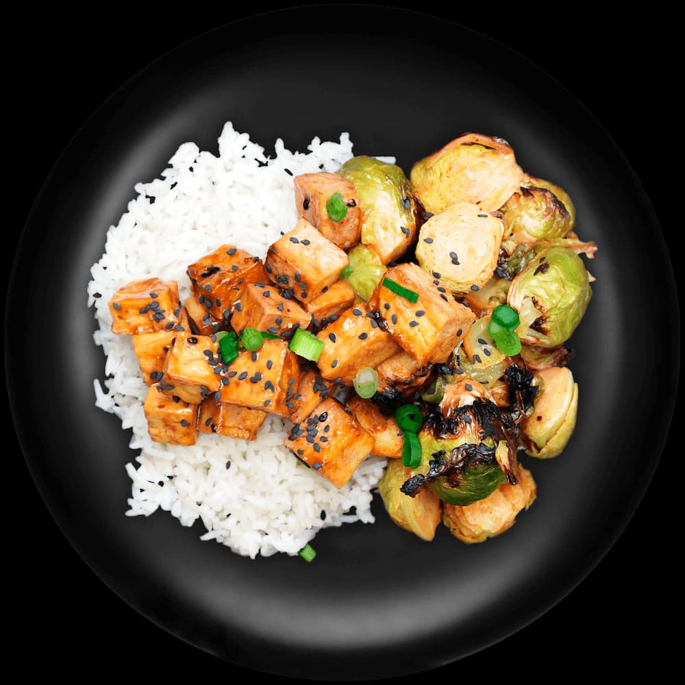 Vegan Teriyaki Tofu