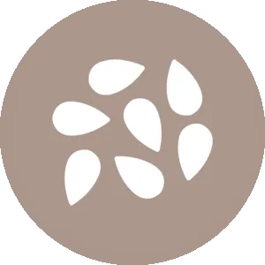 contains-sesame